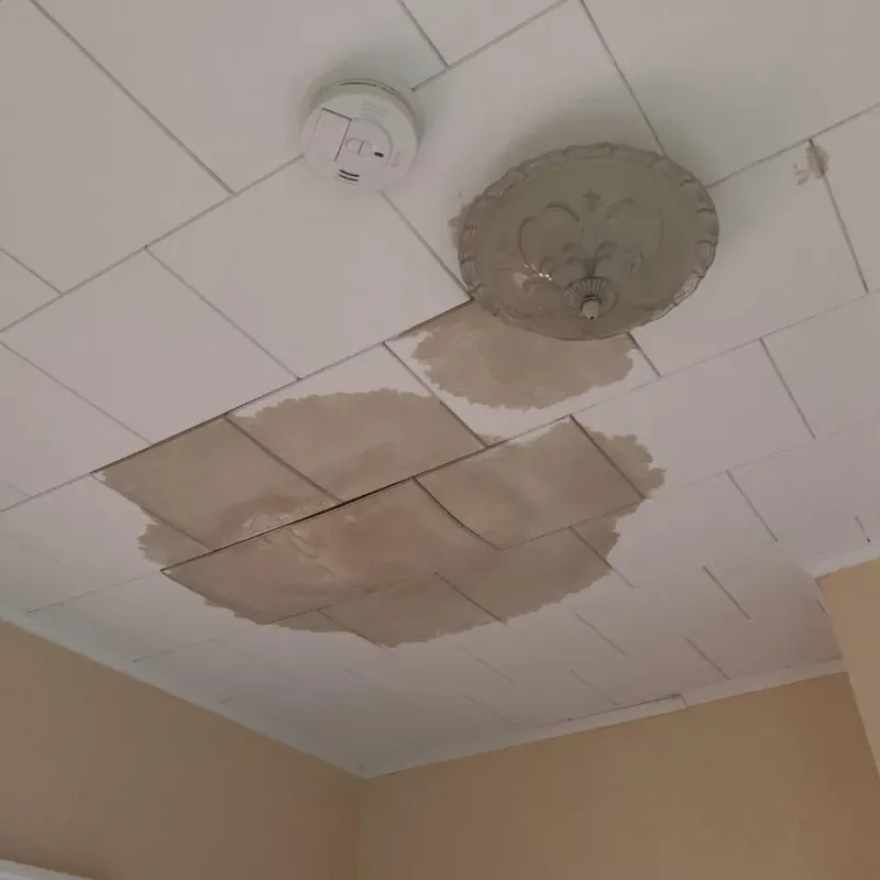Ceiling Water Damage Repair in Jefferson County, NY